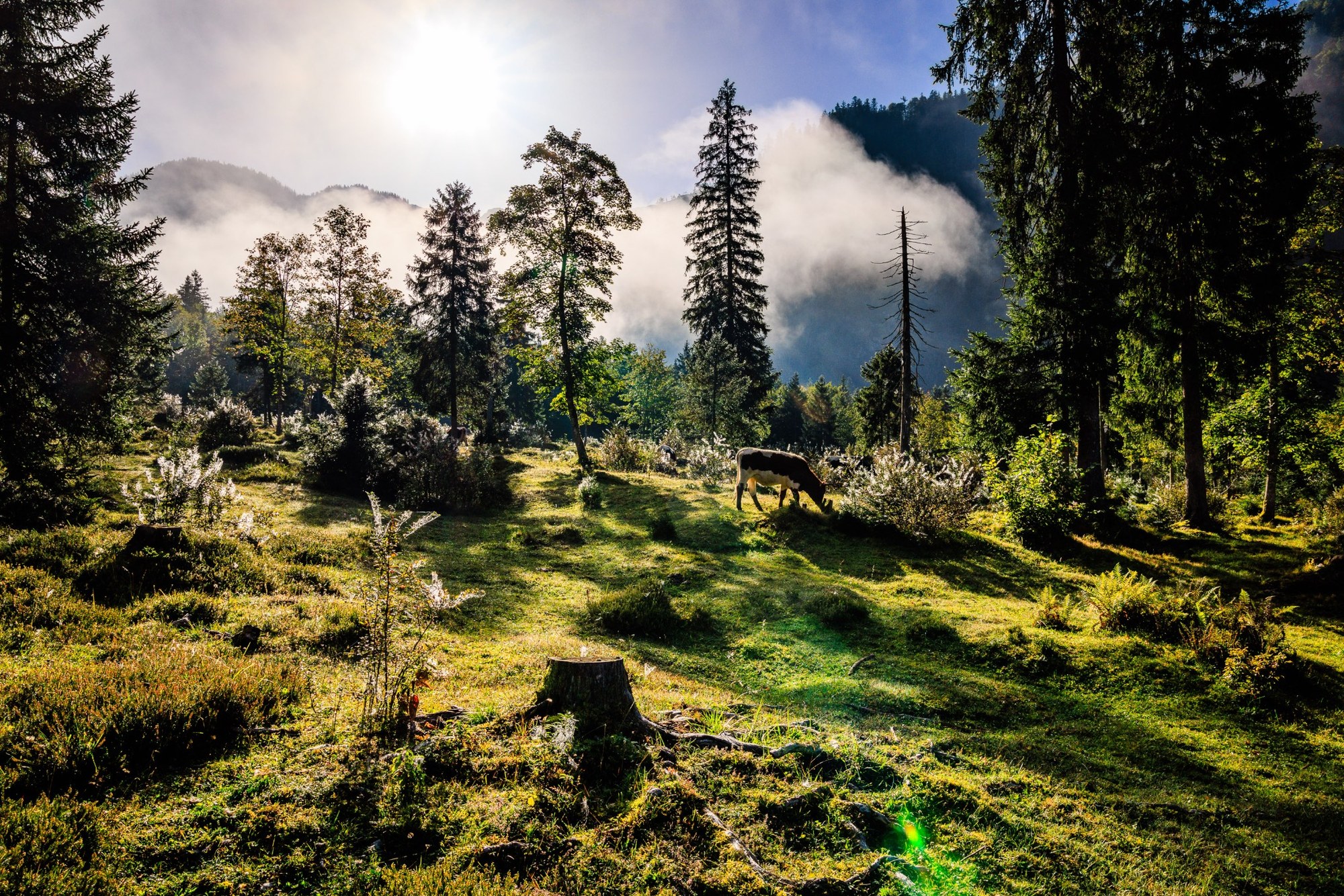 Ruhpolding und Umgebung – Impression 11